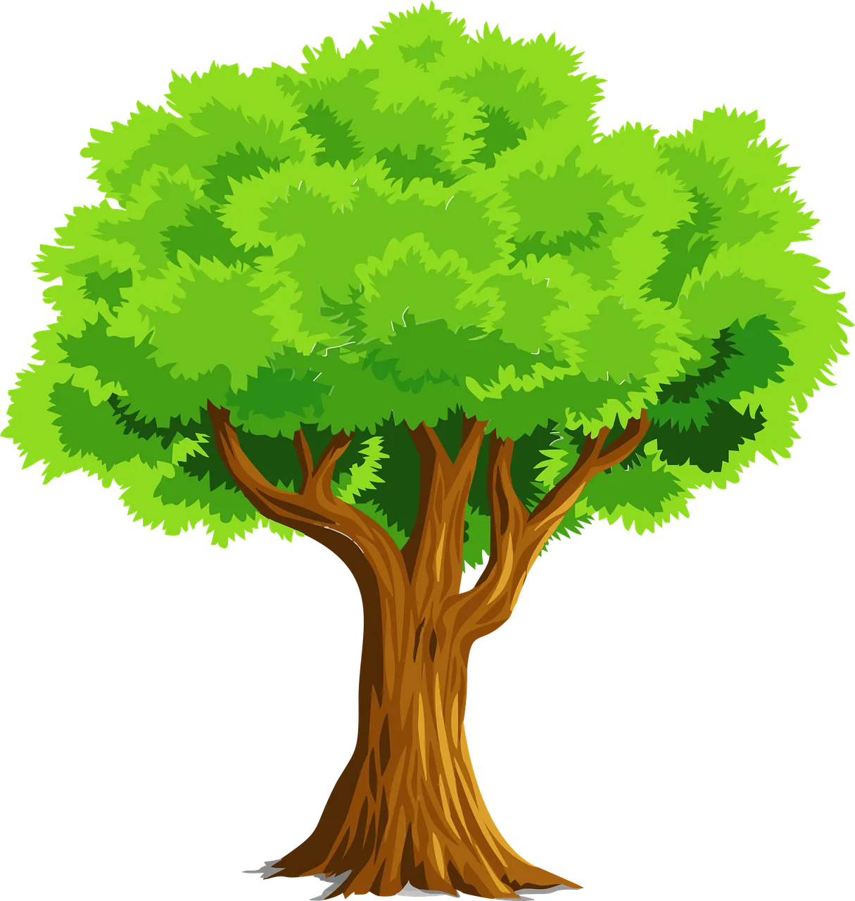 Command tree